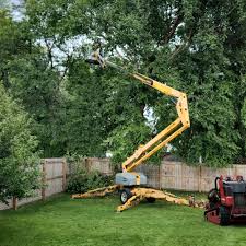Best Lawn Mowing  in Atkins, VA