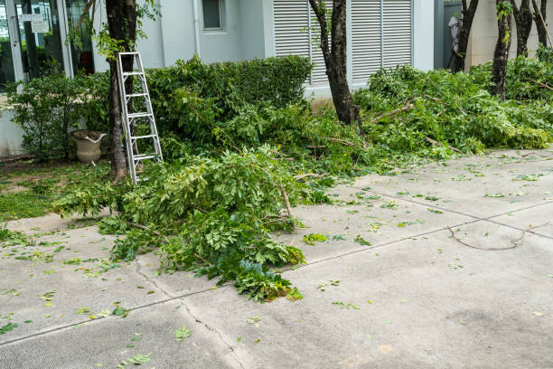 Best Storm Damage Tree Cleanup  in Atkins, VA